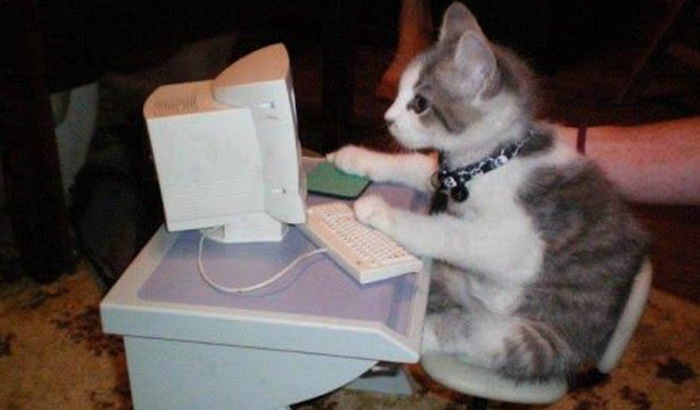 Rumo a um PC pra fazer live de joguinho :)