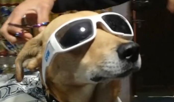 Apoio para comprar um telefone melhor para edição dos vídeos. 