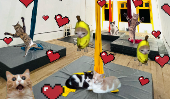 ❤ Entrelaços - Presentão Especial ❤