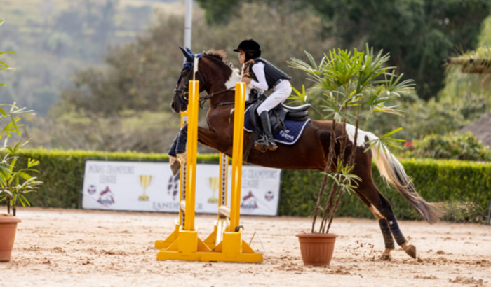 Ajude no sonho: Campeonato Brasileiro de Hipismo 2024