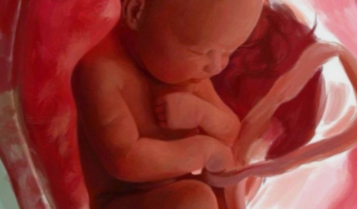 Meu sonho é gerar um bebê