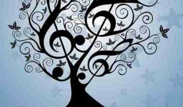 Nunca desista de seu sonho🎵🎶🎵 PIX 51 989894102 