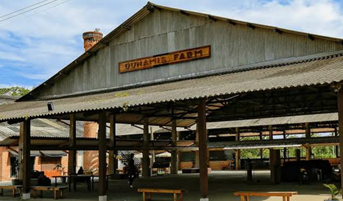 Dunamis School of Ministry - DSM 25