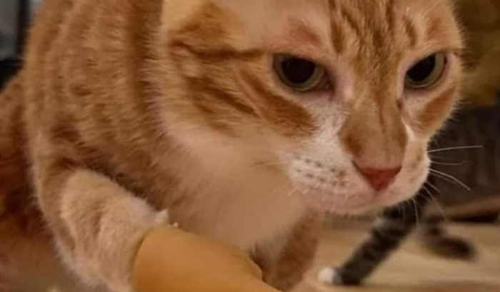 O ponto mais baixo da minha vida
