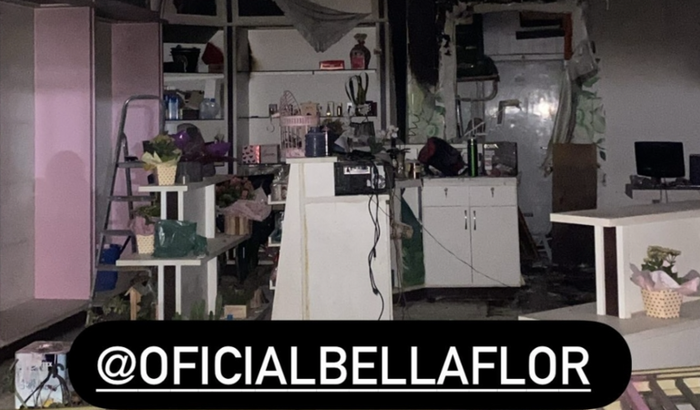 Bellaflor