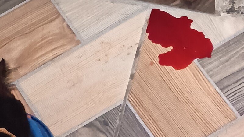 Oii gente, meu gatinho está com infecção urinária