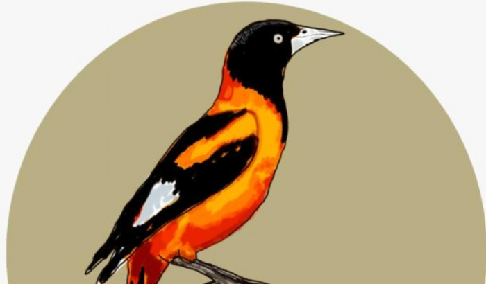 Ajude a Empresa Junior de Agroecologia a Crescer!