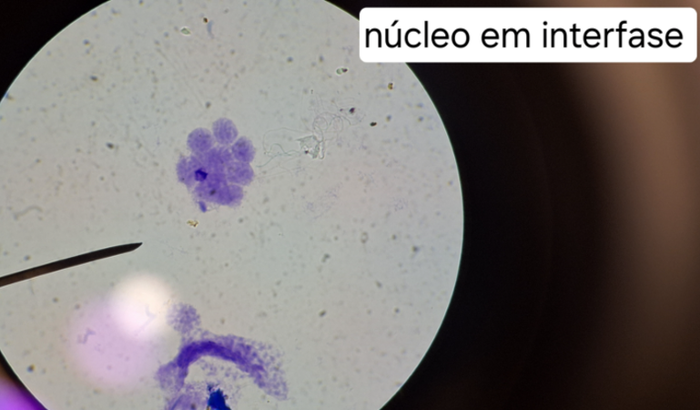 Ajuda para custear meu primeiro intercâmbio