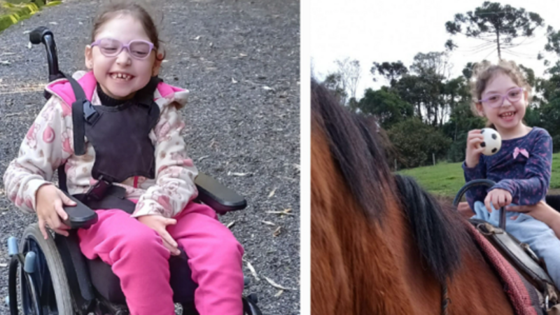 imagem da vaquinha Equoterapia da Paloma 