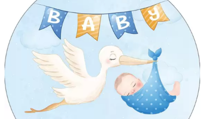 Chá de Fraldas Diego (Tulio)