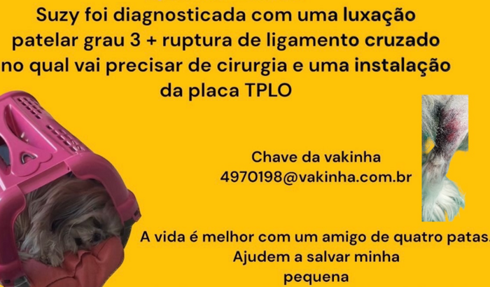 TPLO SUZY- Cirurgia Luxação Patelar Ortopedia