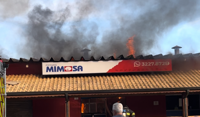 Ajudar na reconstrução da Pizzaria Mimosa e da Nalu Store