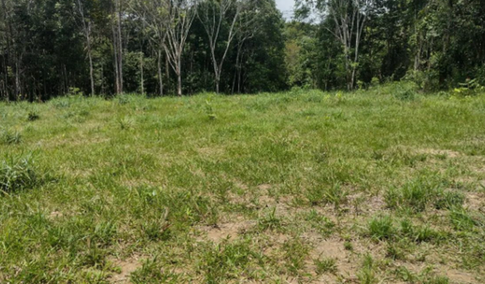 ME AJUDE A COMEÇAR NO AGRONEGÓCIO 