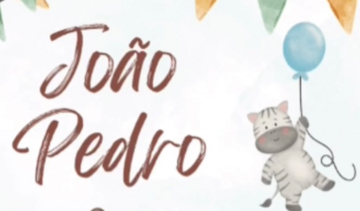 Aniversário João Pedro