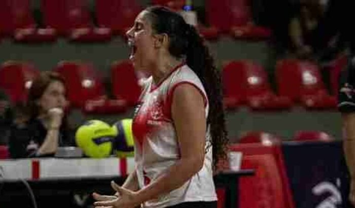 Colabore com a Manu !!