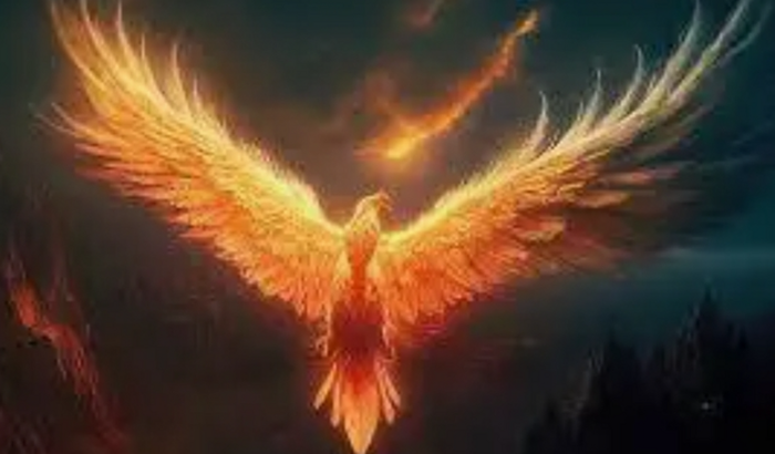 Voo da Fênix entre 22 e 25 Agost