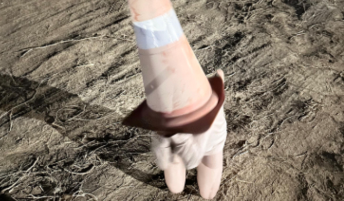 ajude a Stefany a comprar o ingresso de meio agrônomo 