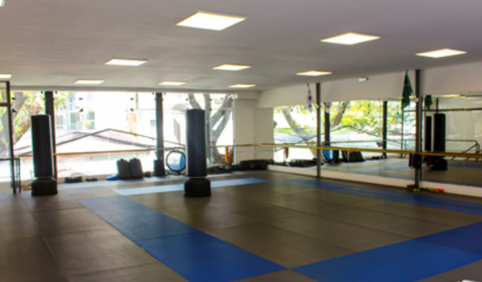 Abrir uma academia de artes marciais 