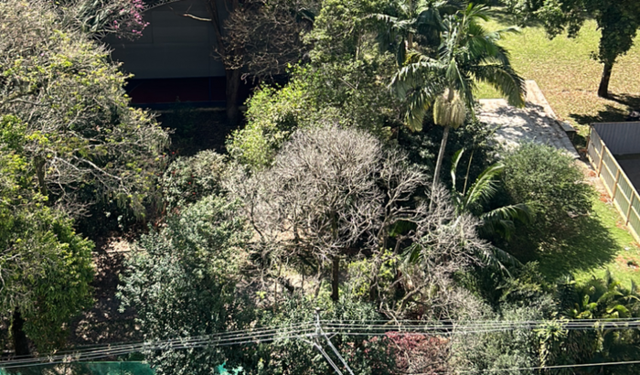 GRUPO SALVE O BOSQUE VENDIDO PELOS SALESIANOS