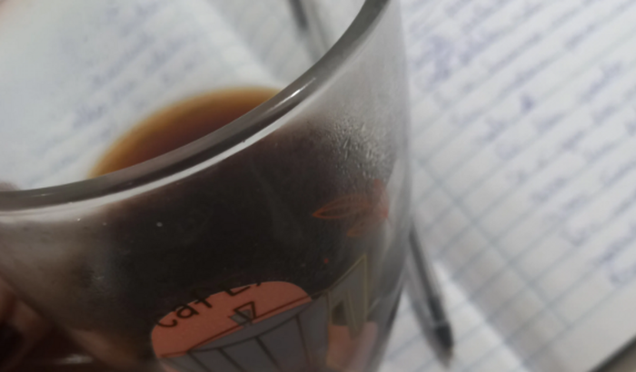 Ellis Na Flip Paraty/2024, como Autora. 