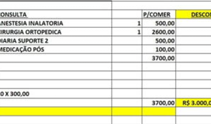Ajudar no tratamento do meu gato