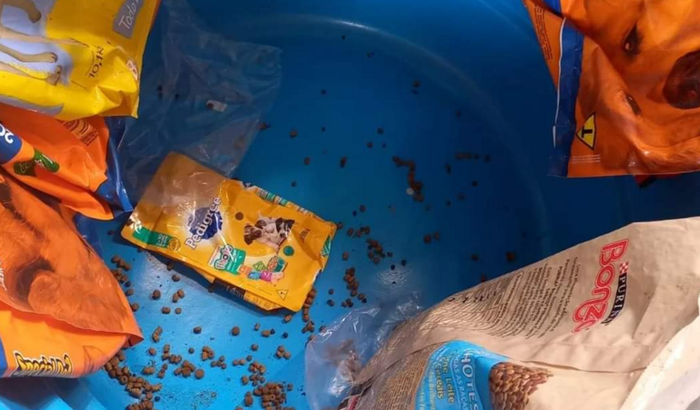 Ração para abrigo, cada saco custa r$ 106