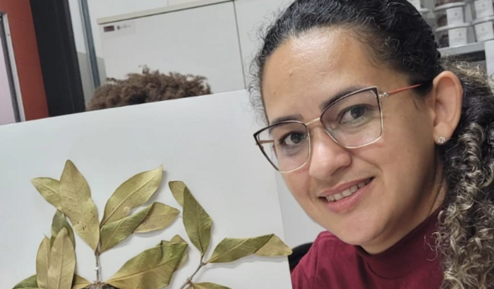 Apoie minha participação no Congresso Brasileiro de Entomologia
