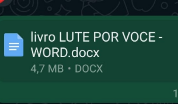 Ajude-me a Publicar meu Primeiro Livro. 