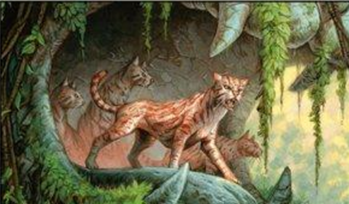 Dois gatinhos - de quatro. 