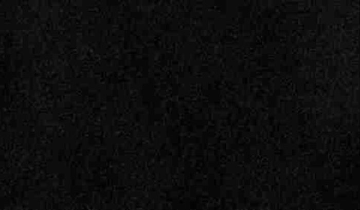 Pinguinho precisa de Nutrini Pepti