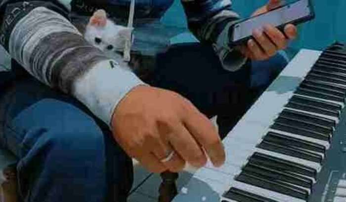 Ajuda para a compra de um teclado, novo ou usado. 