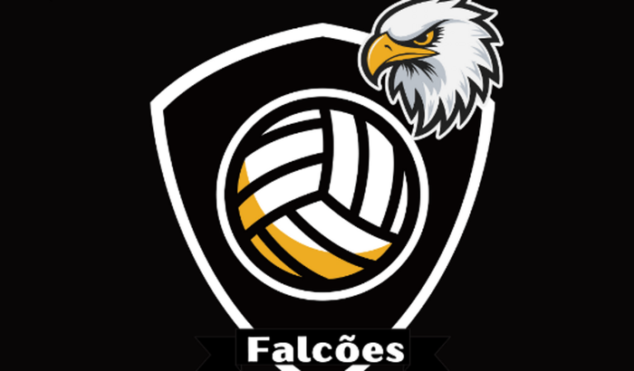 Bola do Time Pênalti 8.0 Pro