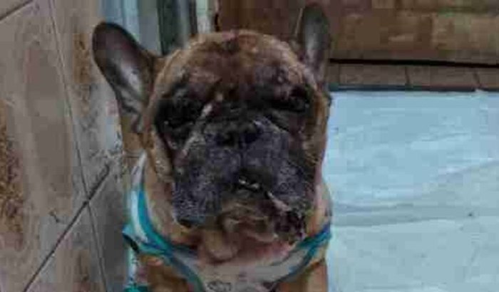 Tratamento do Bandit