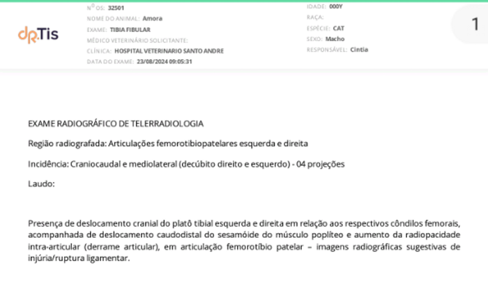 Ajudem a amora fazer cirurgia de ligamento da patinha