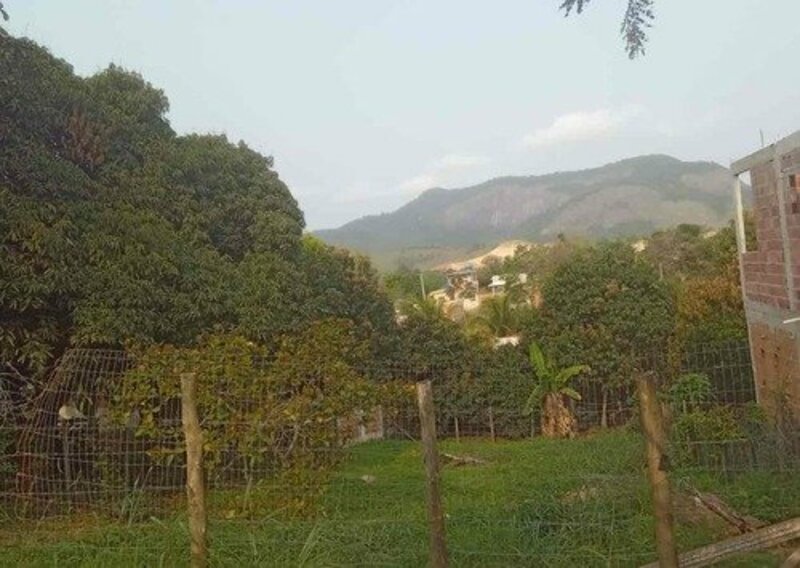 imagem da vaquinha Ajuda para comprar um terreno e construir um abrigo para os animais que resgato nas ruas