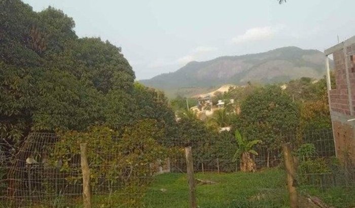 Ajuda para comprar um terreno e construir um abrigo para os animais que resgato nas ruas