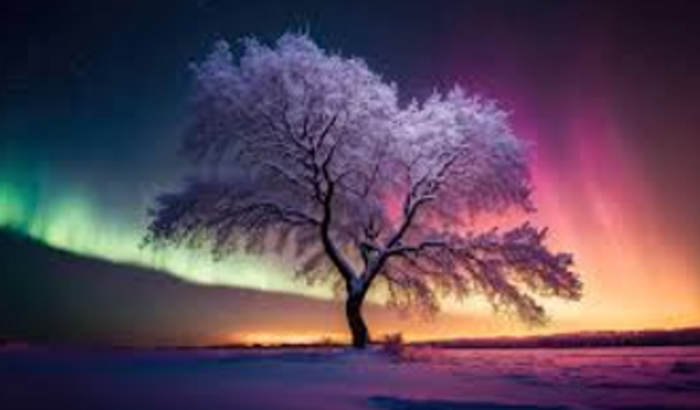 Ajude-me a publicar meu novo livro "O Zelador de Segredos"