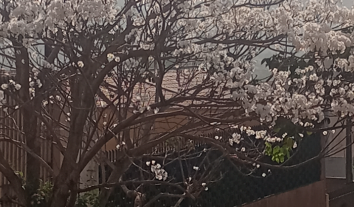 Festa do dia das  crianças 