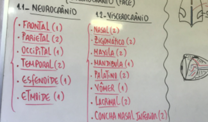 Um sonho que parece impossível