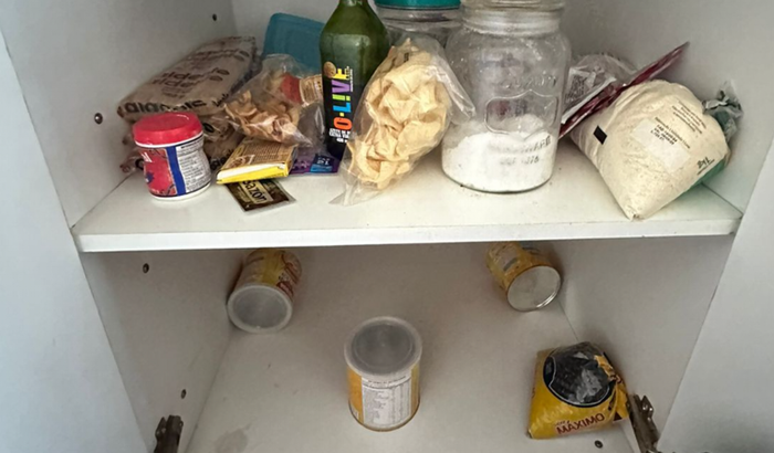 Ajuda com filhos e animais