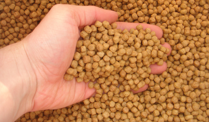 Ração para resgatados de rua + de 300 animais