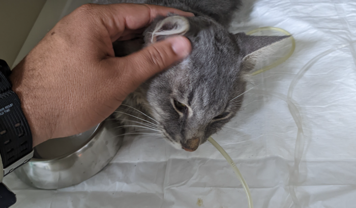 ajuda de custo para o Messi