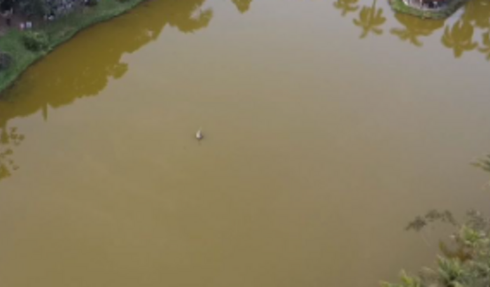 Ajuda para comprar um DRONE . 