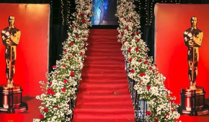 Para Formatura em Direito