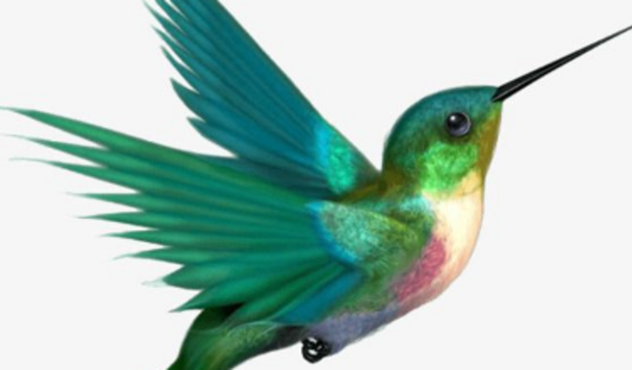 Celular para uso pessoal e trabalho