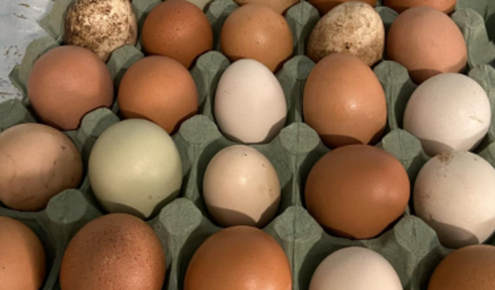 Ajudar a comprar carro simples para trabalhar 