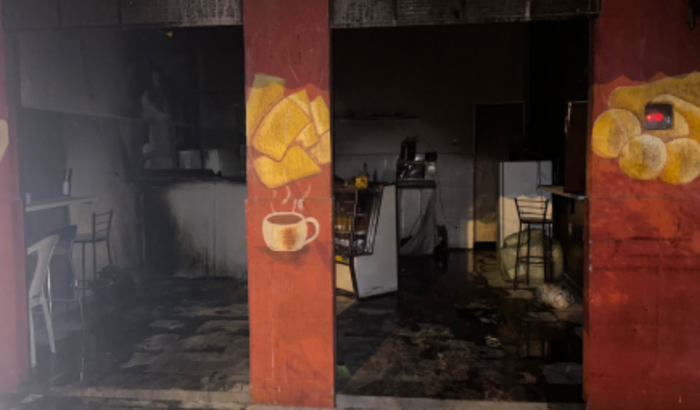 Salgaderia ‘TIA ROSE’