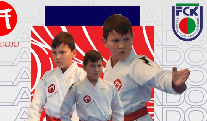 Campeonato brasileiro 