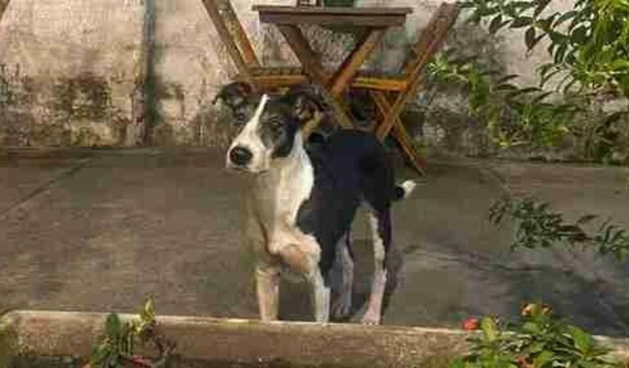 Quem ama, castra ♡