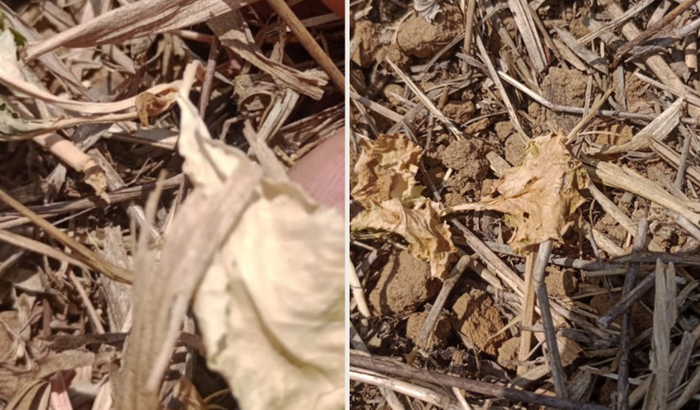 POÇO PARA A NOSSA COMUNIDADE